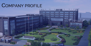 Company Profile